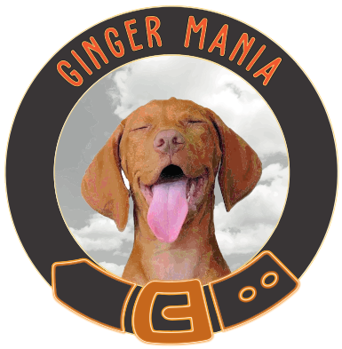 Ginger Mania